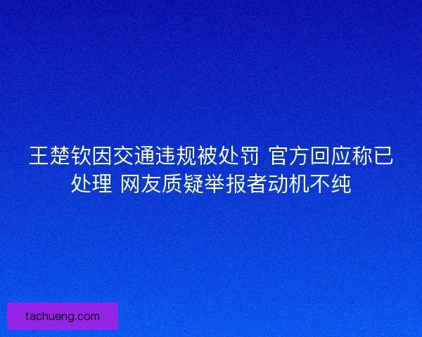 王楚钦因交通违规被处罚 官方回应称已处理 网友质疑举报者动机不纯